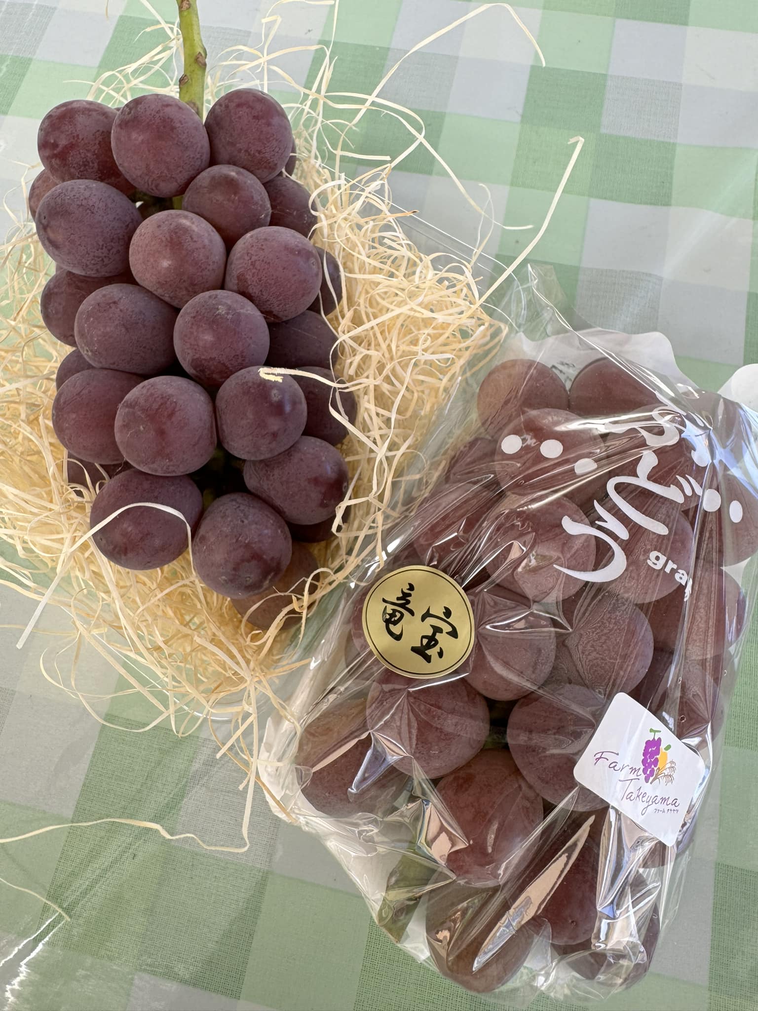 竜宝（りゅうほう）販売開始！ - 株式会社ファームタケヤマ｜葡萄園
