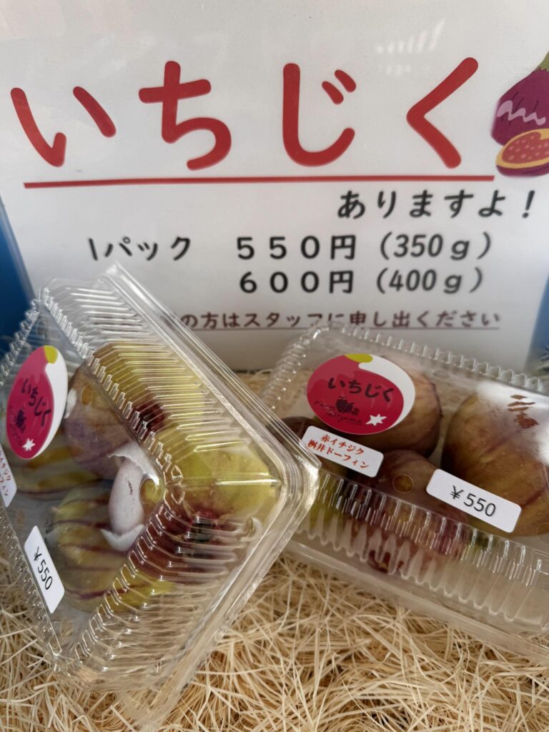 『いちじく』の店頭販売開始しました！
