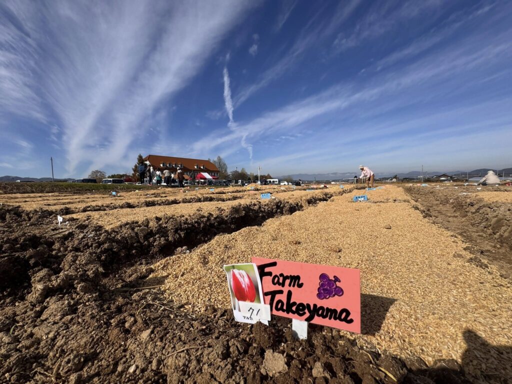 チューリップ畑花園オーナー