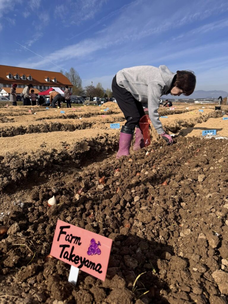 チューリップオーナー