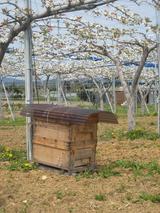 蜂巣箱